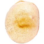 DONACCINO