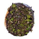 CHOC MINT